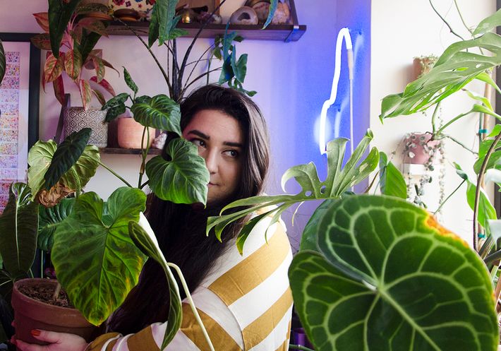 Apartment Botanist’s Alessia Resta on Being a “Plant Parent”