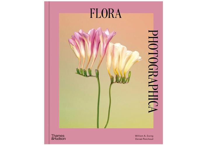 A Photographic Compendium Highlights the Unspoken Power of Flowers