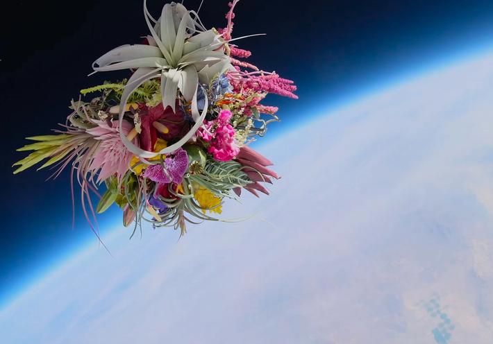 The Japanese Artist Who Launched Flowers Into Outer Space