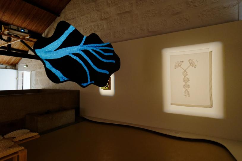 Installation image of “The Art of Mushrooms.” (Photo: André Delhaye. Courtesy the Serralves Museum.)