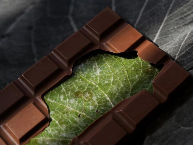 A chocolate bar with a green leaf inside.