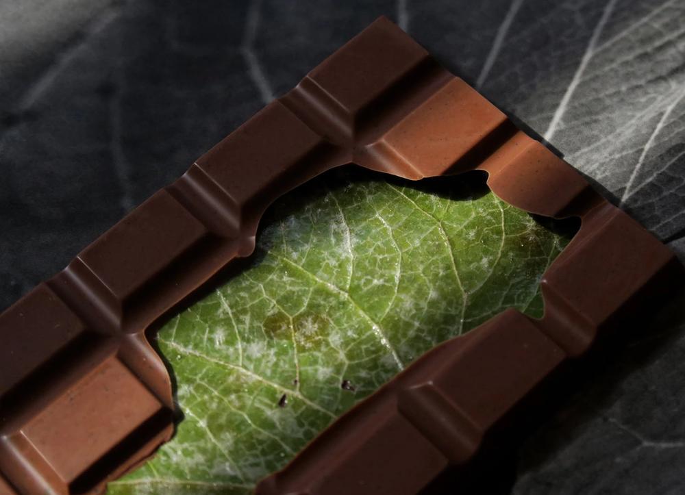 A chocolate bar with a green leaf inside.