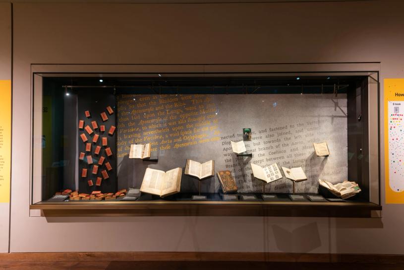 Photo: John Cairns. Courtesy the Bodleian Libraries.