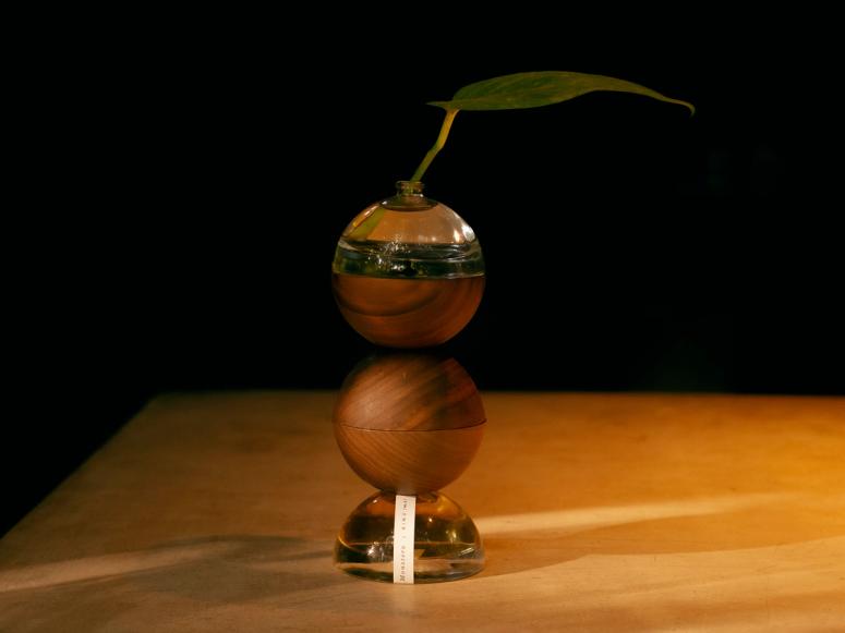 Stacked wood and glass orbs with a leaf growing out of the top 