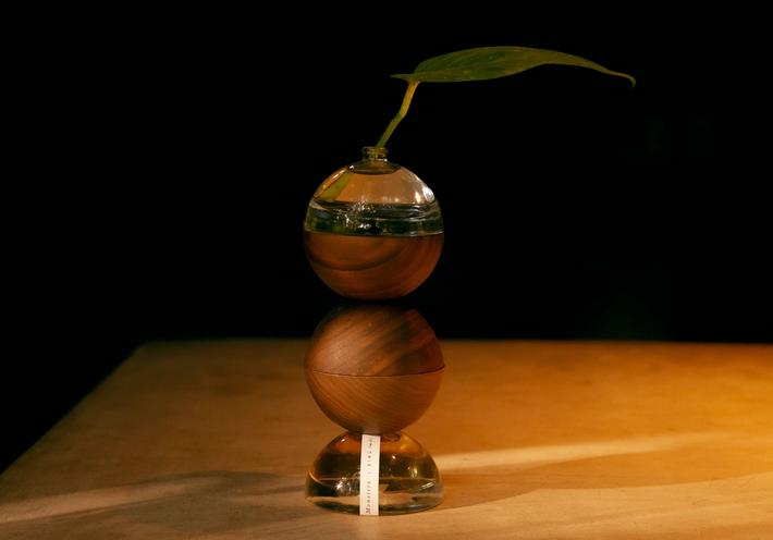 Stacked wood and glass orbs with a leaf growing out of the top 