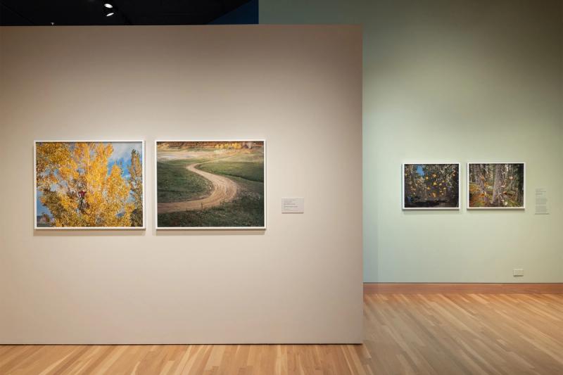 Installation view of Trent Davis Bailey’s exhibition “Personal Geographies” (2023) at the Denver Art Museum. (Courtesy the artist and the Denver Art Museum)