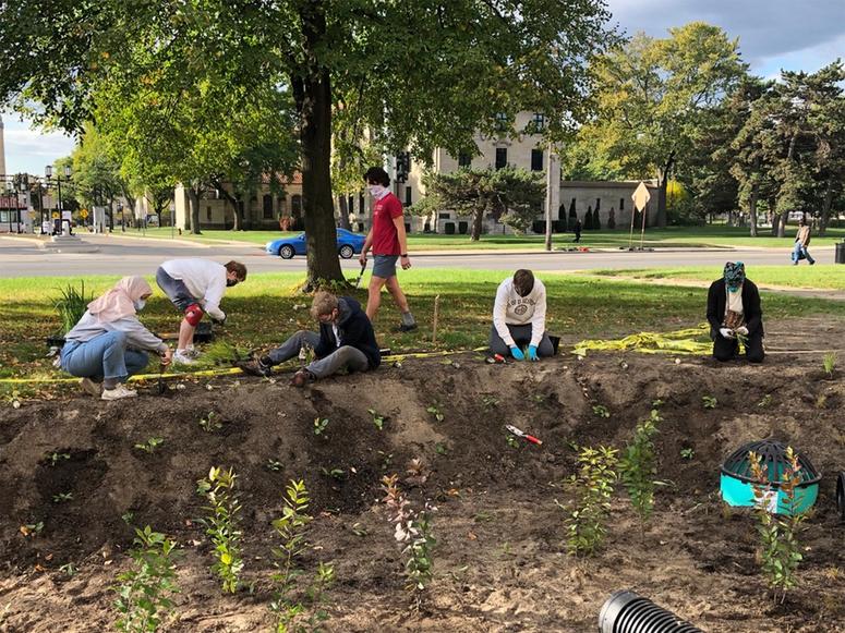People planting a garden near a tree