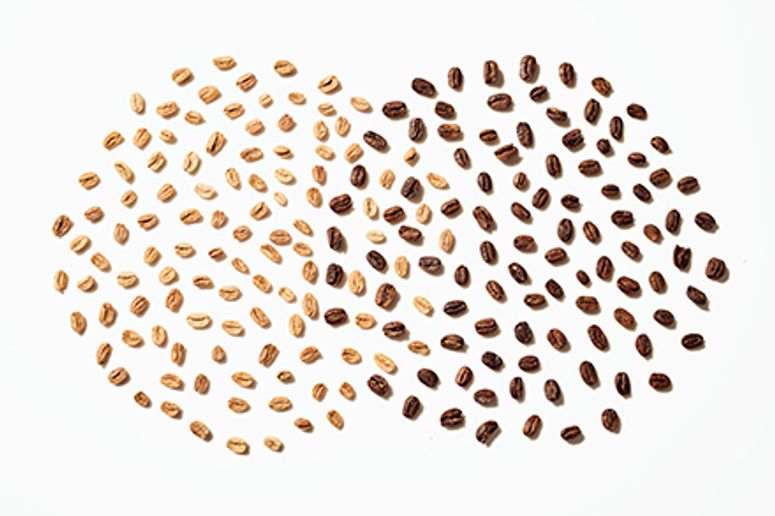 Unroasted and roasted coffee beans arranged in two, overlapping circles.