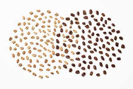 Unroasted and roasted coffee beans arranged in two, overlapping circles.