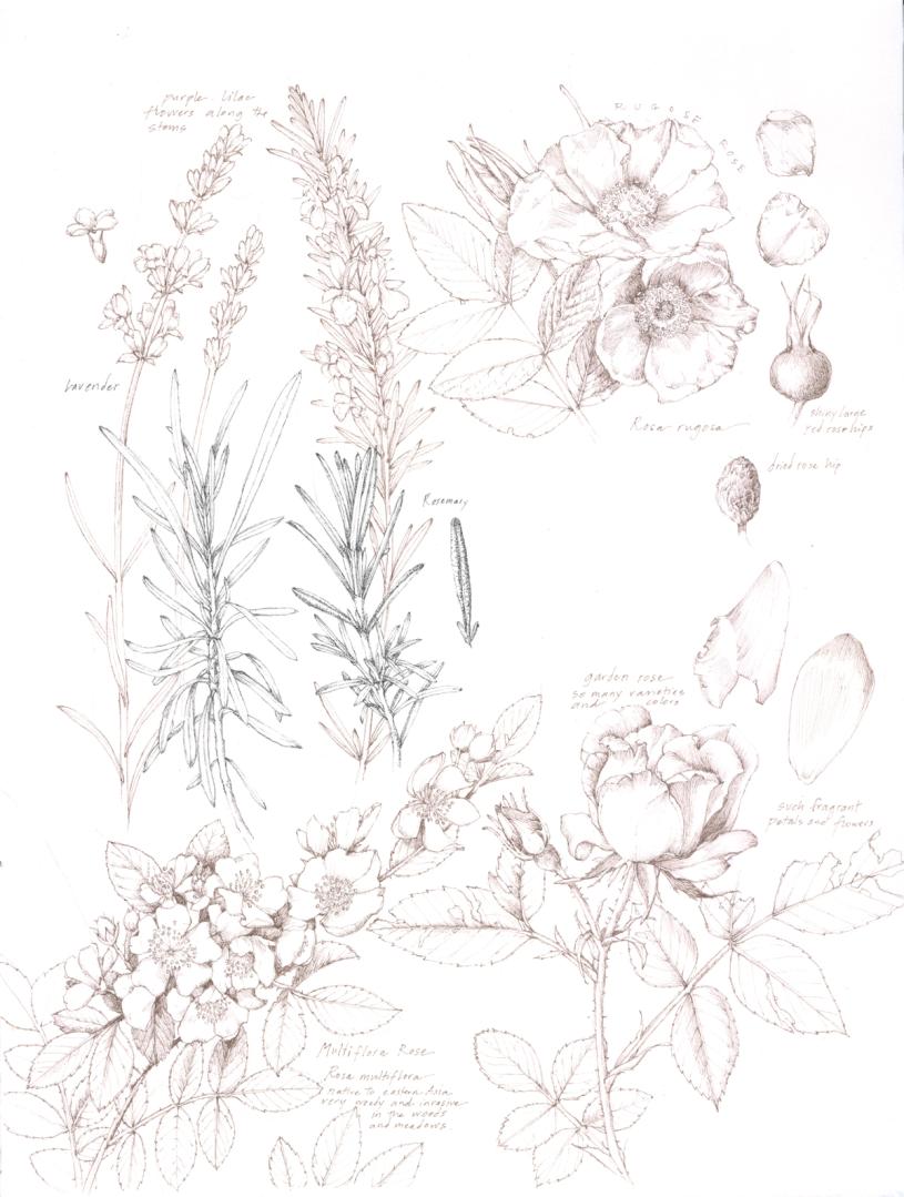 Courtesy Lara Call Gastinger