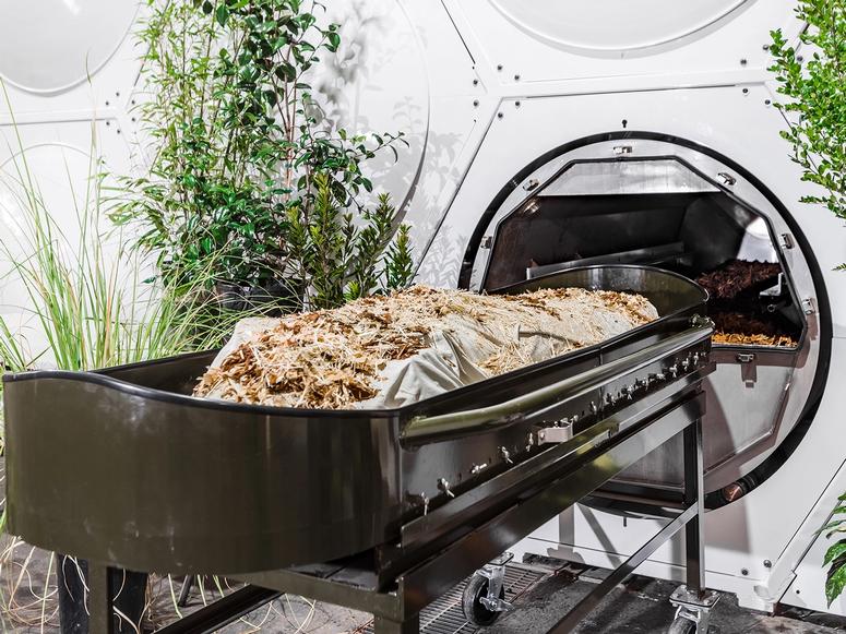 A large tray of compost heading into a white container surrounded by plants.