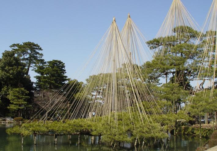 Yukitsuri, a Sculptural Japanese Gardening Tradition, Is a Wonder to Behold