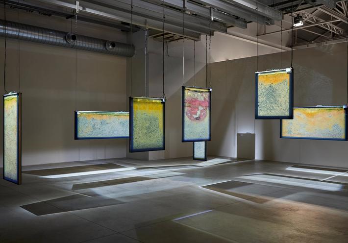 A Potent Anicka Yi Exhibition in Italy Features Bacteria, Artificial Intelligence, and Dried Shrimp