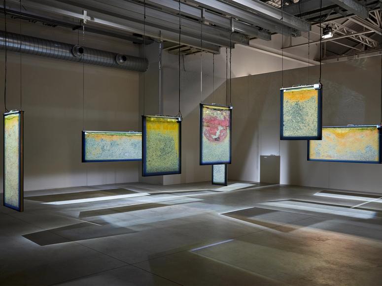 Anicka Yi’s “Biologizing the Machine (spillover zoonotica)” (2022), on view at Milan’s Pirelli HangarBicocca. (Photo: Agostino Osio. Courtesy the artist and Pirelli HangarBicocca.)