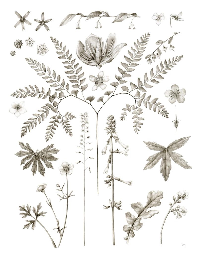 Courtesy Lara Call Gastinger