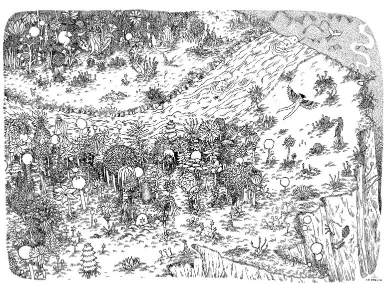 Black and white illustration of a forest on a cliff viewed from above