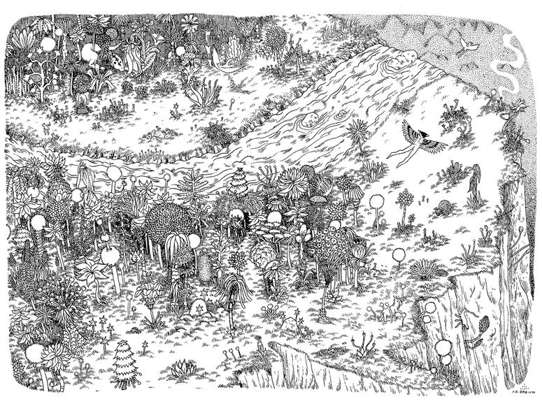 Black and white illustration of a forest on a cliff viewed from above