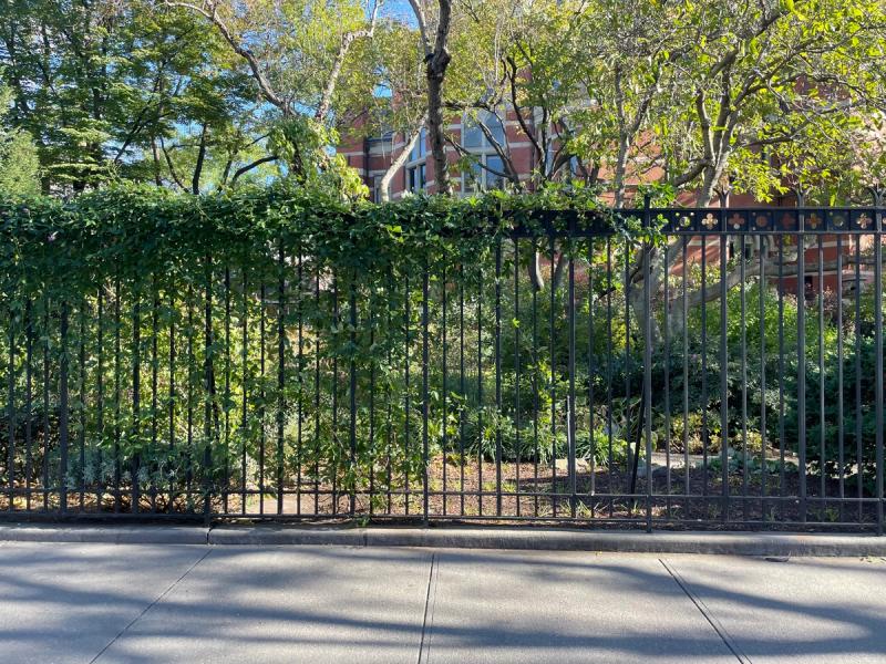The vine-covered fence at Jefferson Market Garden. (Photo: Spencer Bailey)