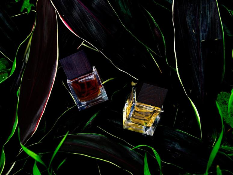 Two bottles of perfume in a darkly lit tangle of grass.