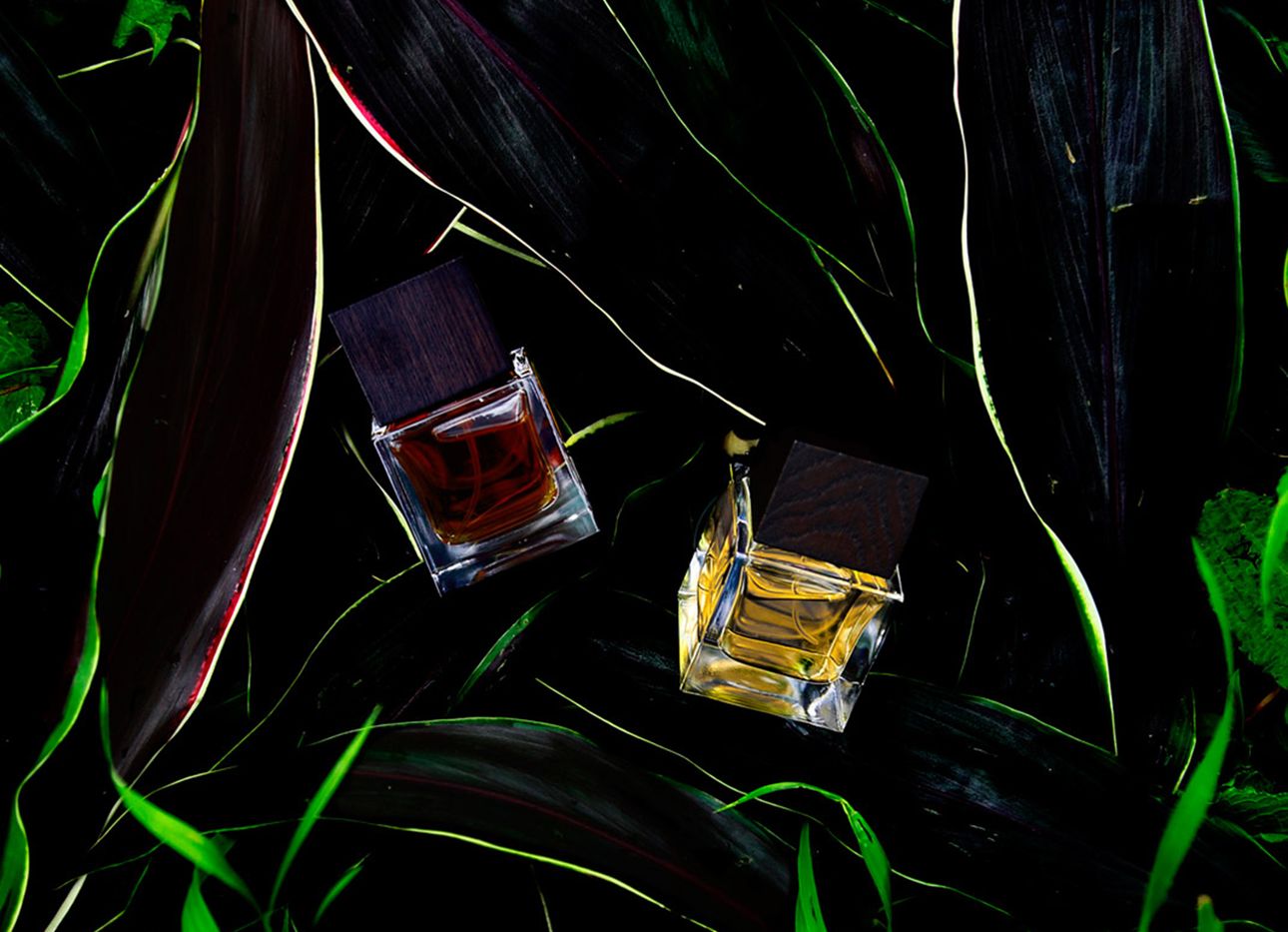 Two bottles of perfume in a darkly lit tangle of grass.