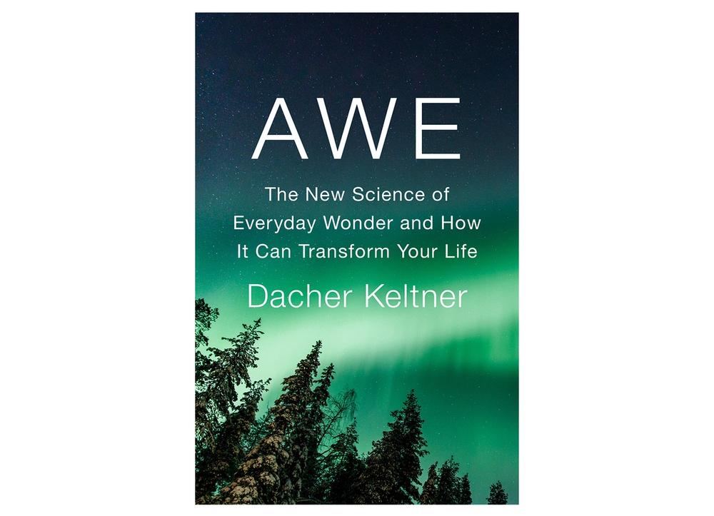 Cover of “Awe: The New Science of Everyday Wonder and How It Can Transform Your Life” by Dacher Keltner. (Courtesy Penguin Press)