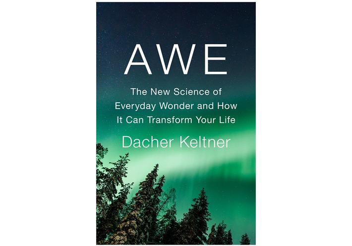 Cover of “Awe: The New Science of Everyday Wonder and How It Can Transform Your Life” by Dacher Keltner. (Courtesy Penguin Press)