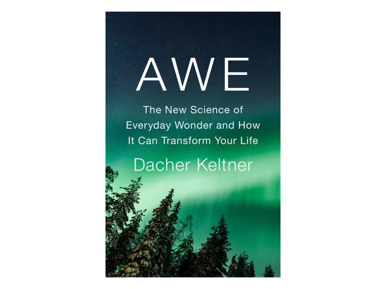 Cover of “Awe: The New Science of Everyday Wonder and How It Can Transform Your Life” by Dacher Keltner. (Courtesy Penguin Press)
