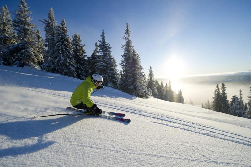 Alpinkjøring i preparert skibakke
