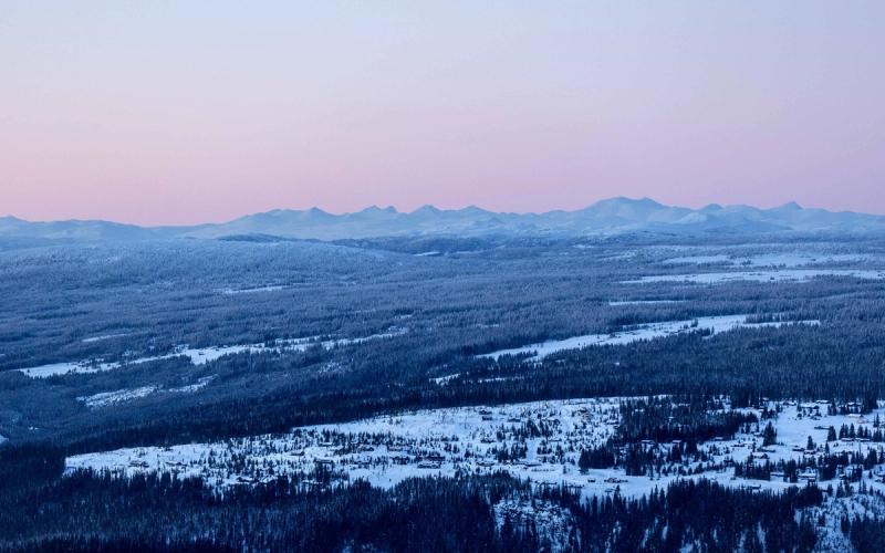 Vinterlandskap med fjell og skog