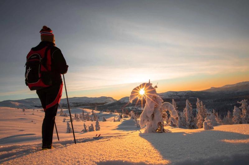 Skiløper i solnedgang på Turufjell