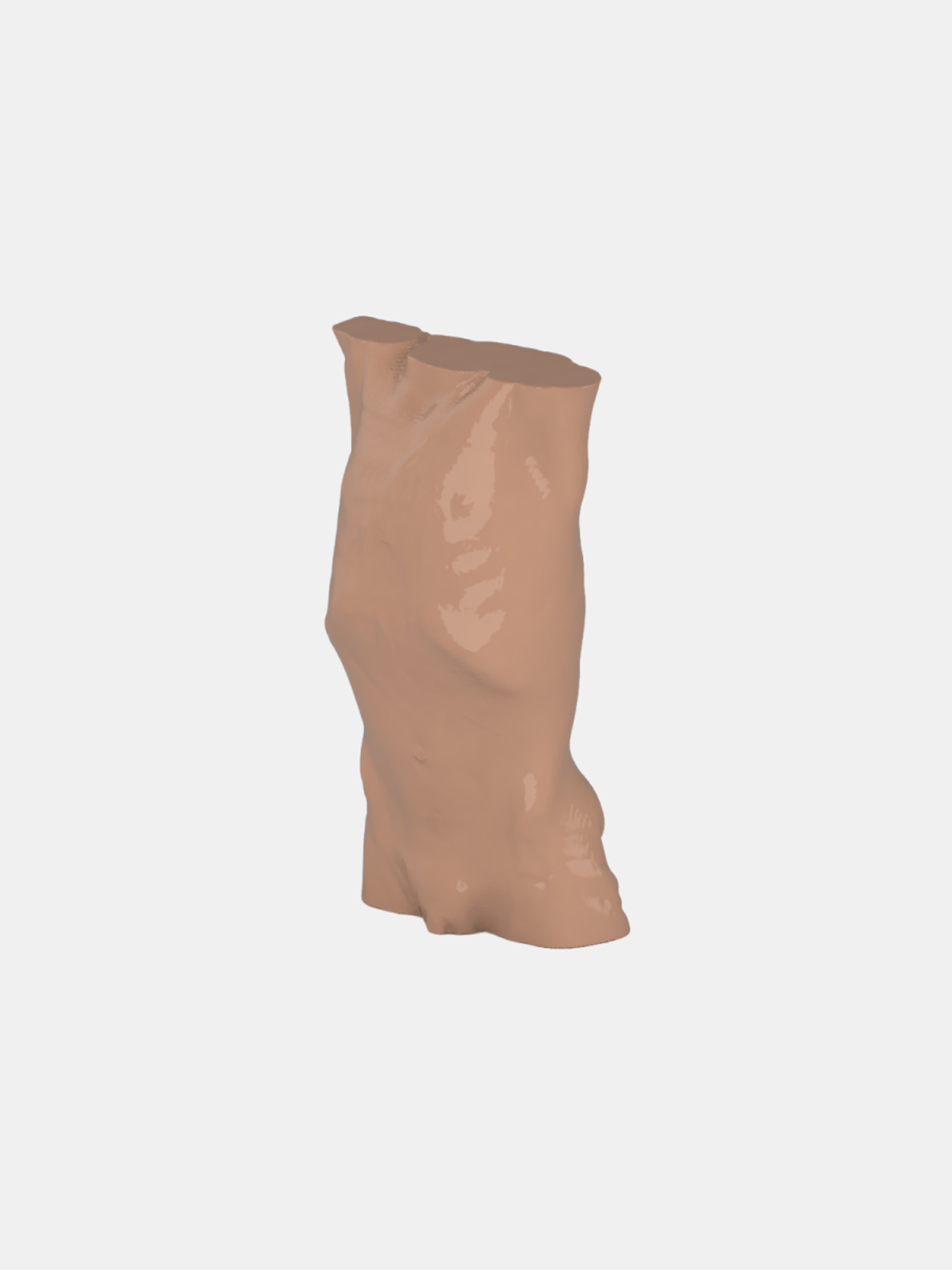 Child Torso Phantom 3 Year Old