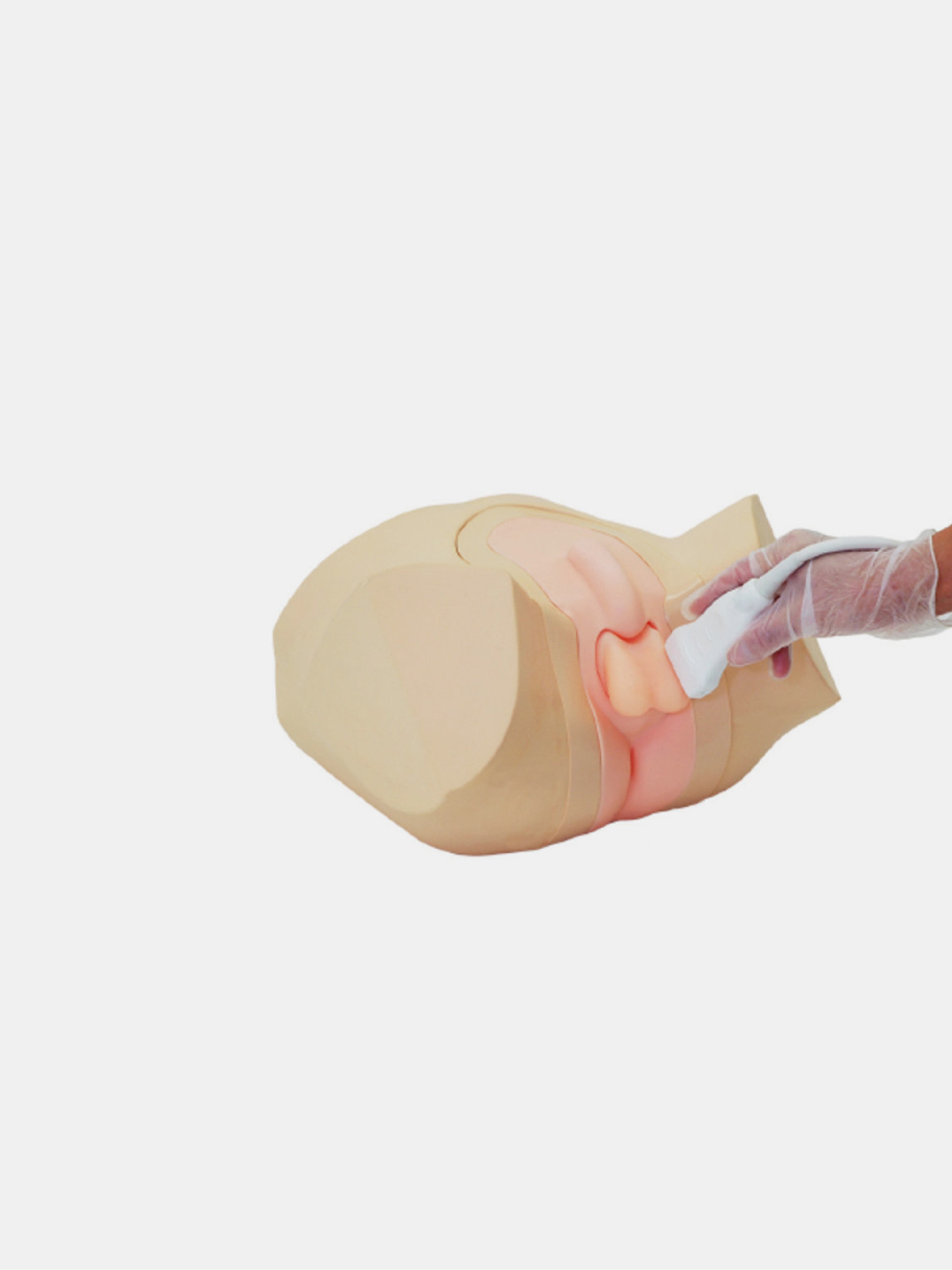 Scrotal Ultrasound Phantom
