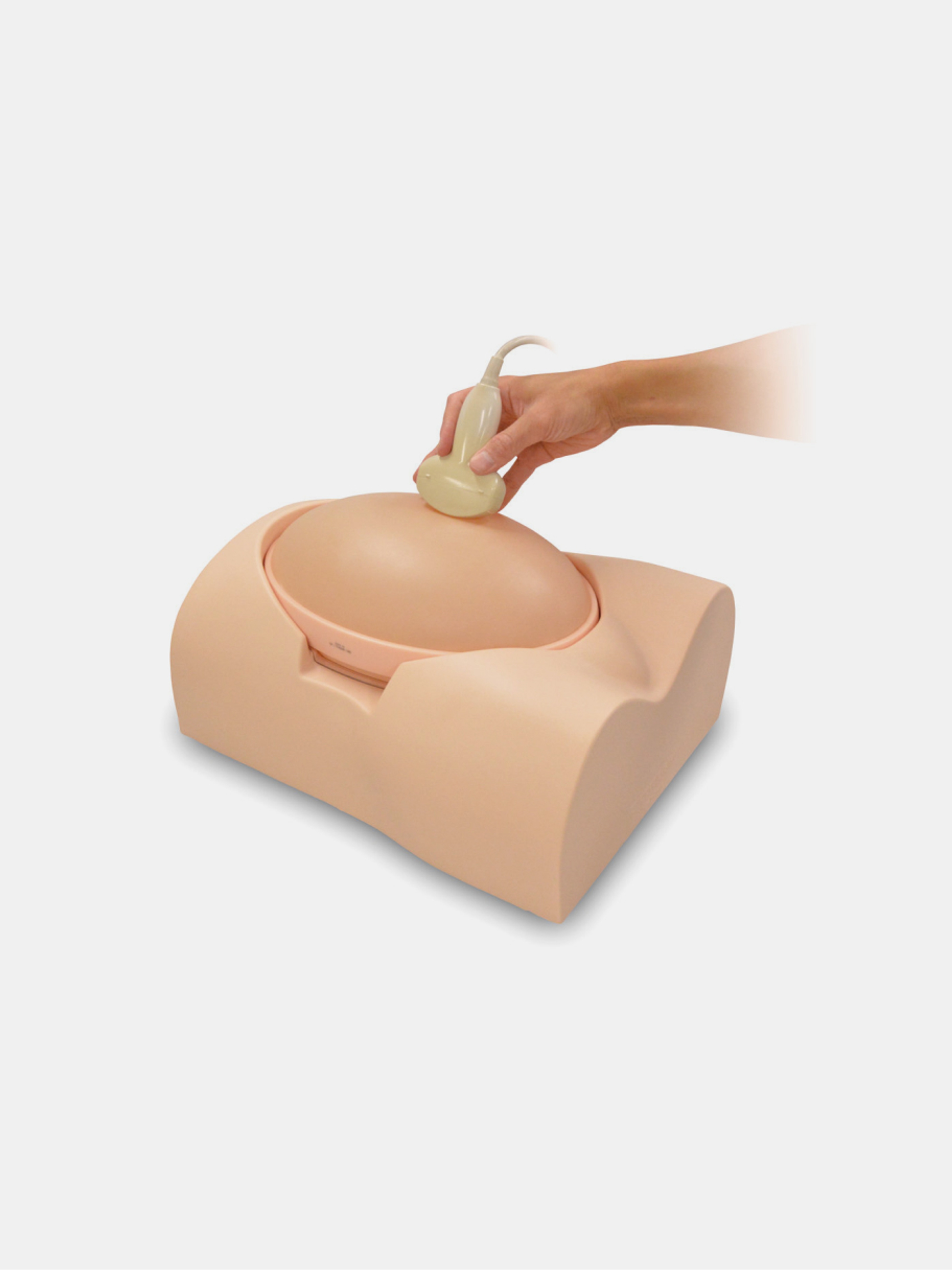Fetus Ultrasound Examination Phantom “SPACE FAN-ST”