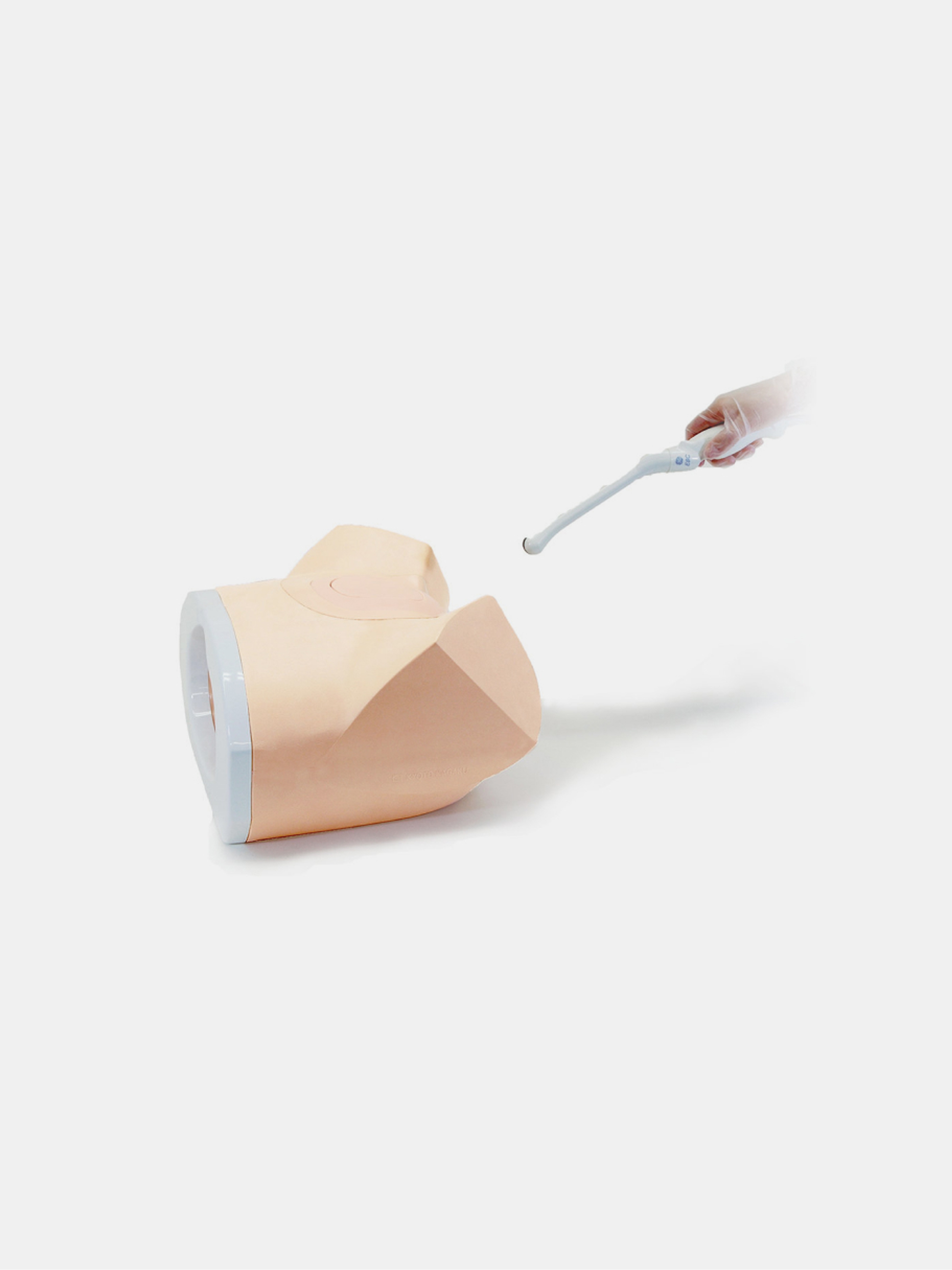 Female Pelvic Ultrasound Phantom Full set (7 weeks)