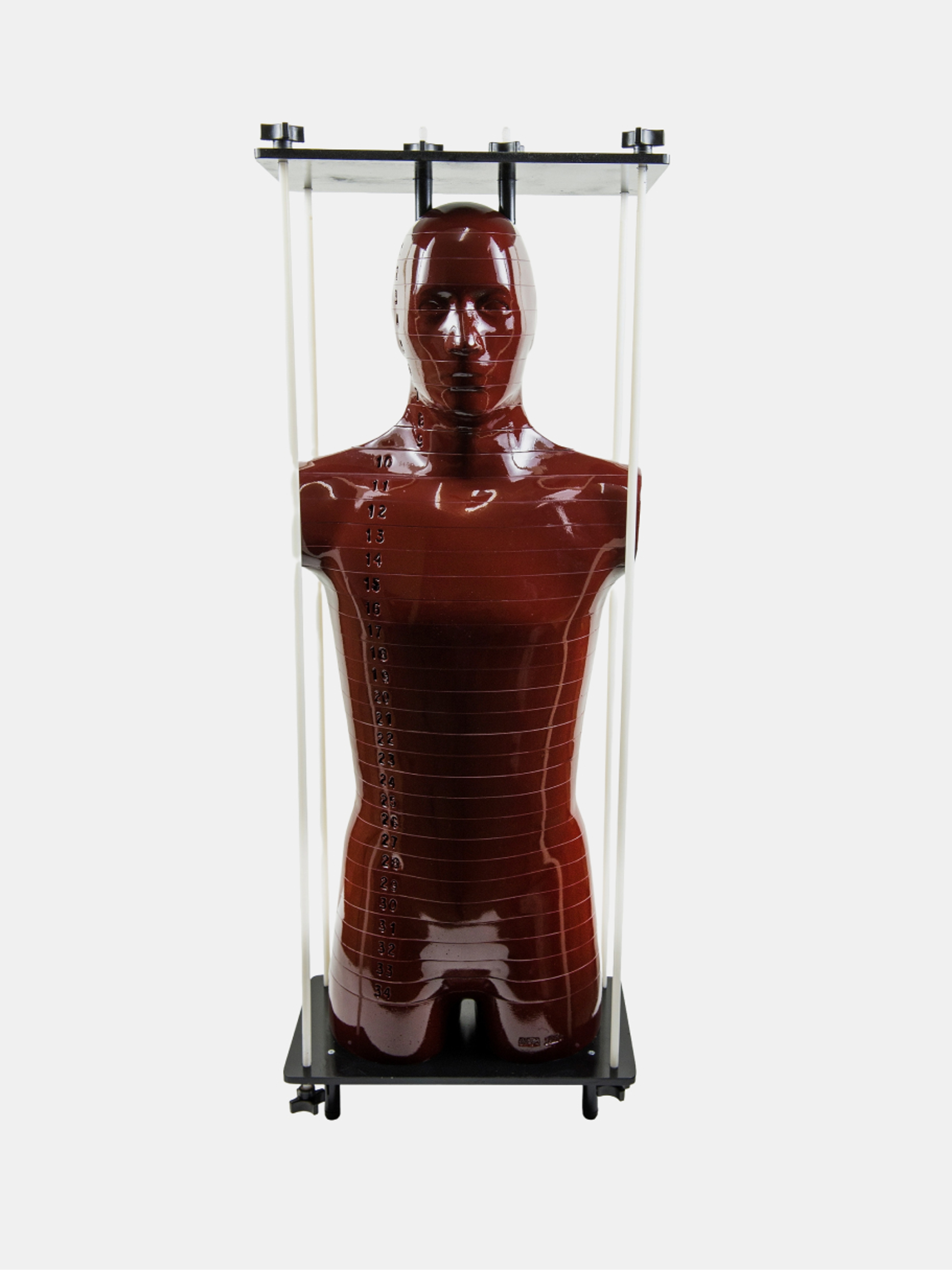 Alderson Radiation Therapy (ART) Phantom