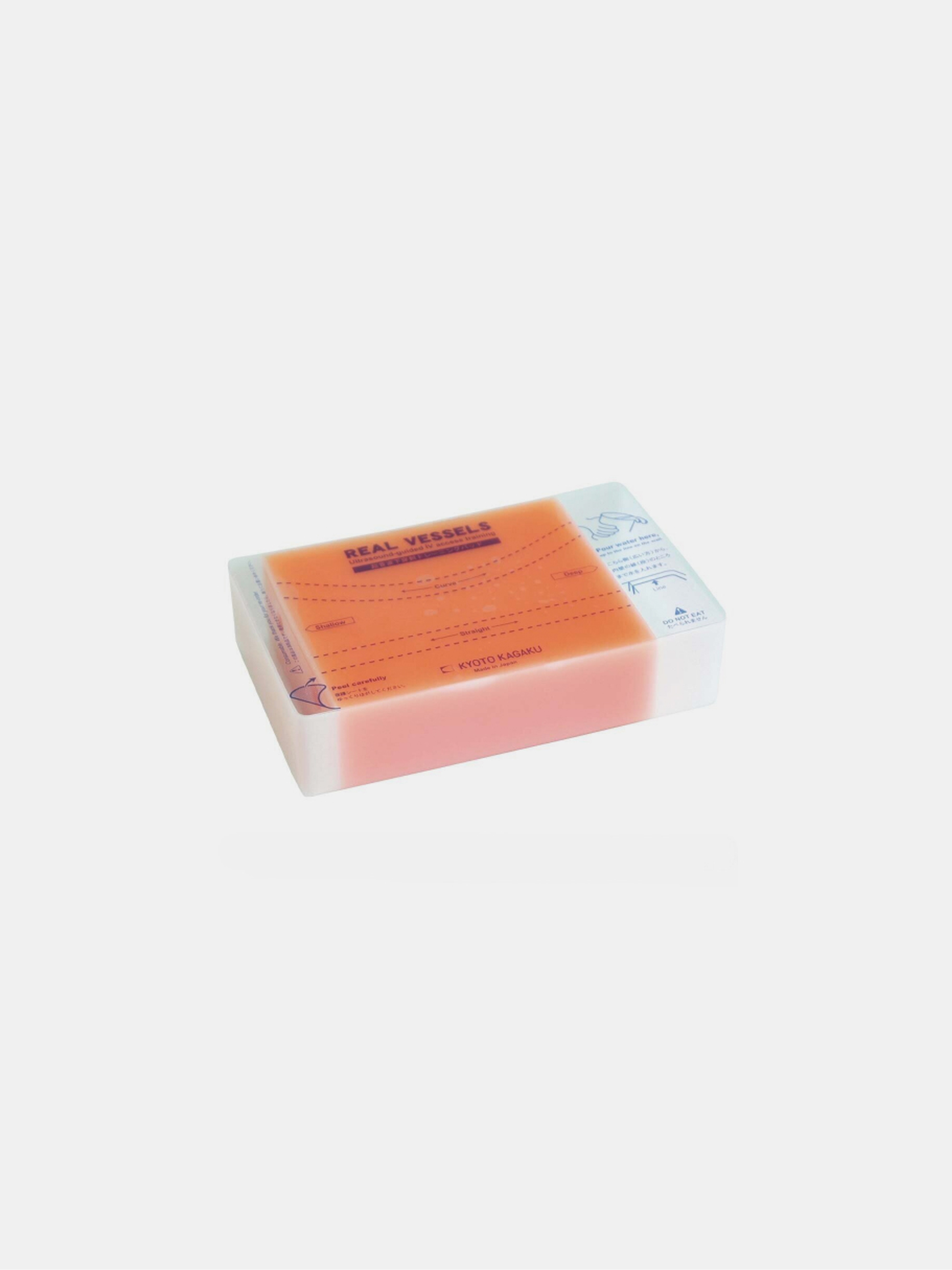 VESSEL Introductory Ultrasound Training Block