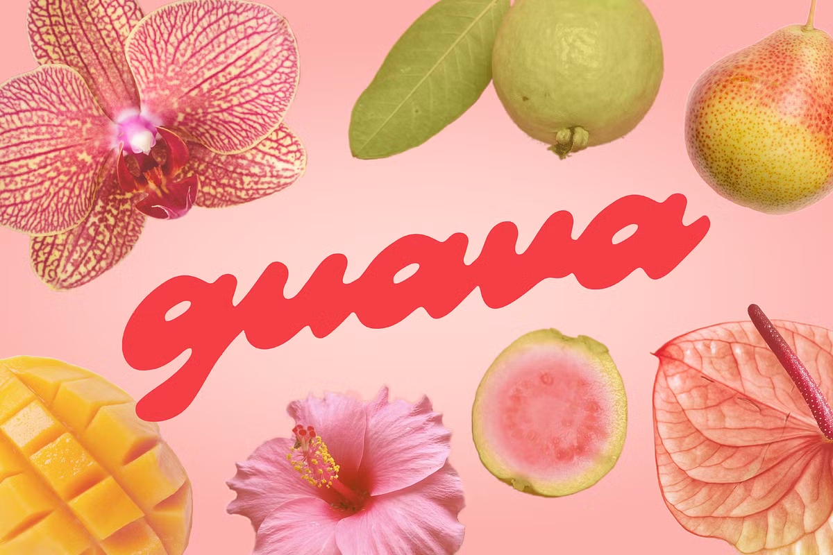 Guava font poster