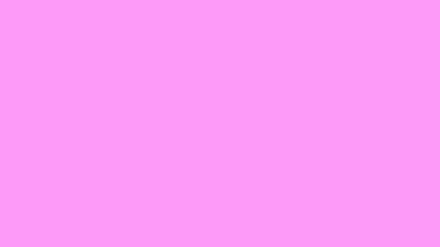 Binary Brawler Logo Animation