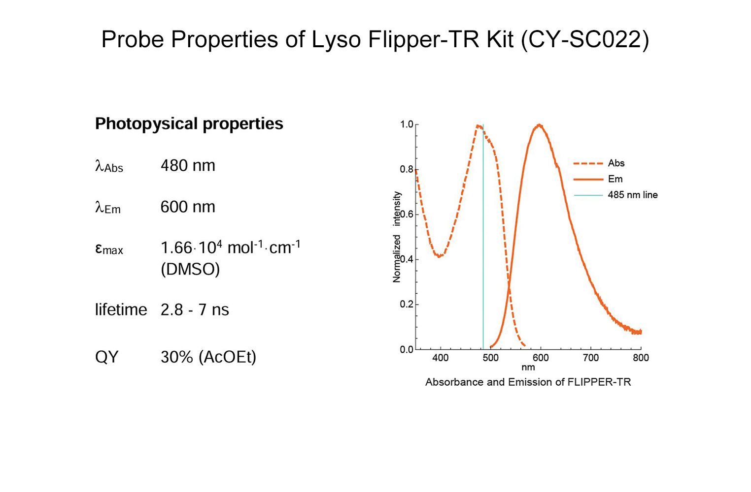 Tukiyo spore from 十二田　ツキヨ Lyso Flipper-TR Kit for fluorescence cell membrane microscopy