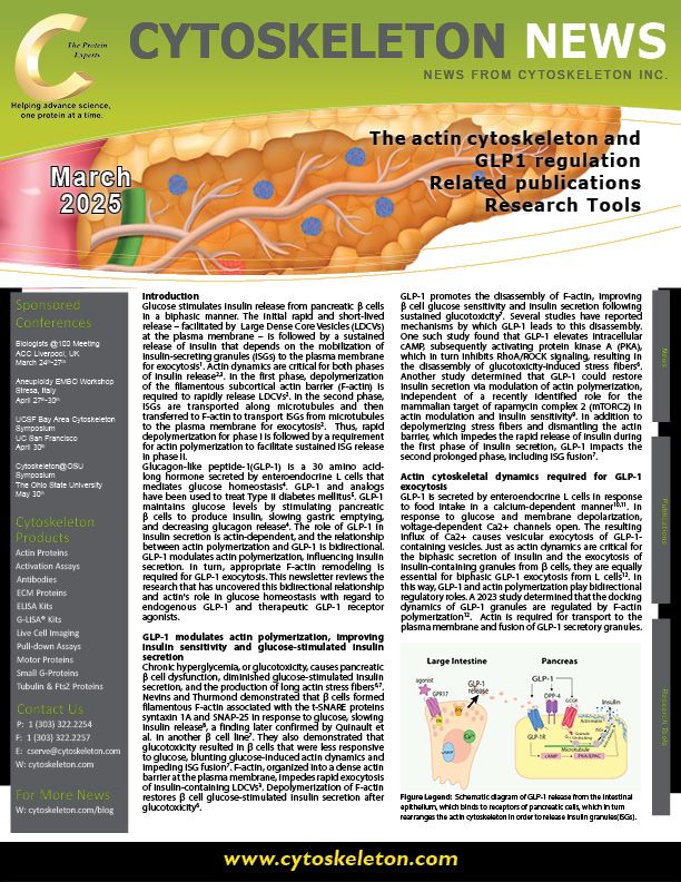 tranont activate glp-1 The Actin Cytoskeleton and GLP-1 Regulation