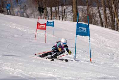 Racer passing red and blue giant slalom panels in bare winter trees