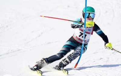 Racer in a blue helmet driving through a slalom gate