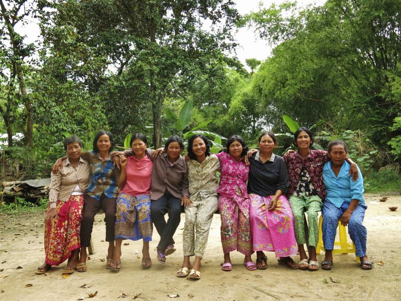 Bamboo Shoots Gallery