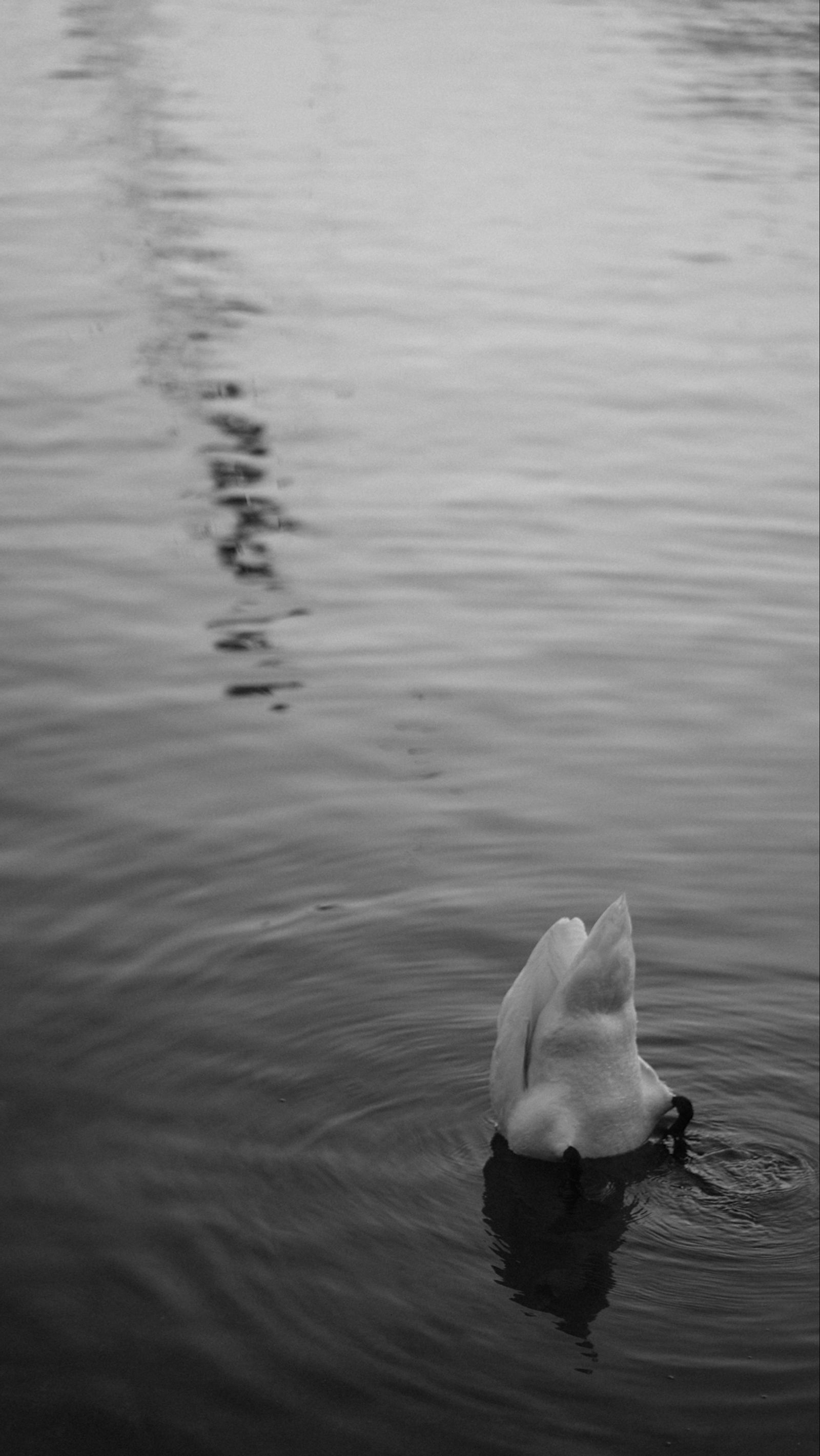 Fotografía personal de Alan Combellack
