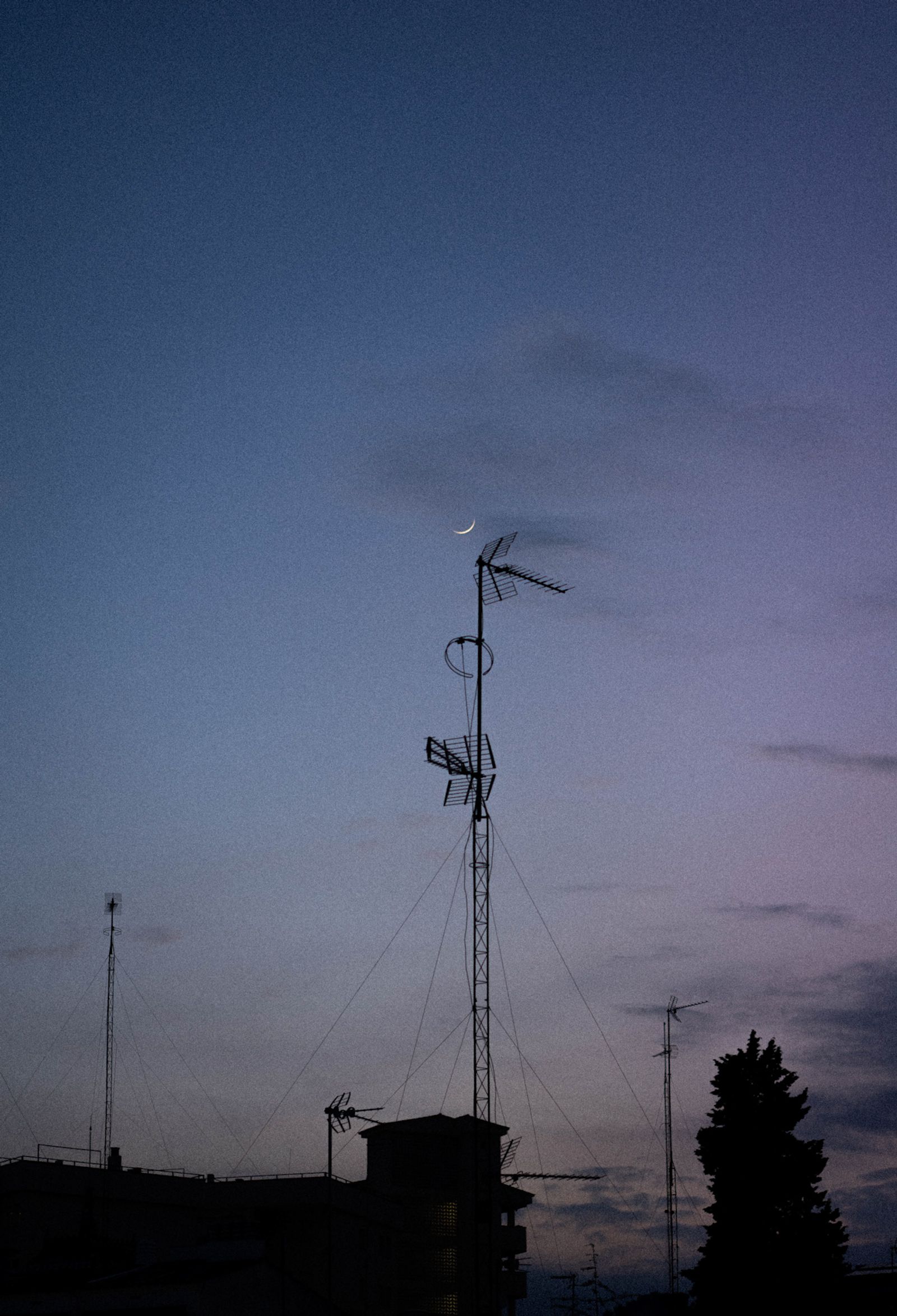 Fotografía personal de Alan Combellack