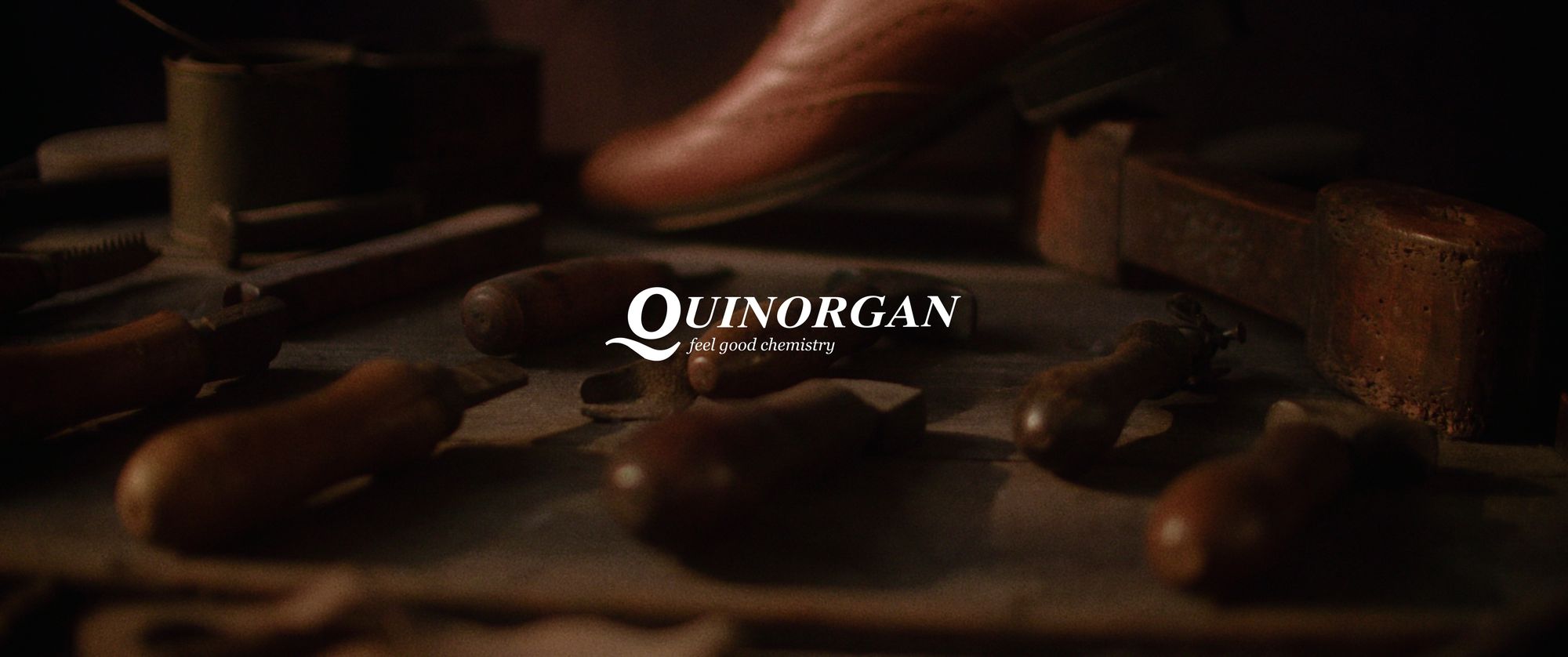 Quinorgan more than a company