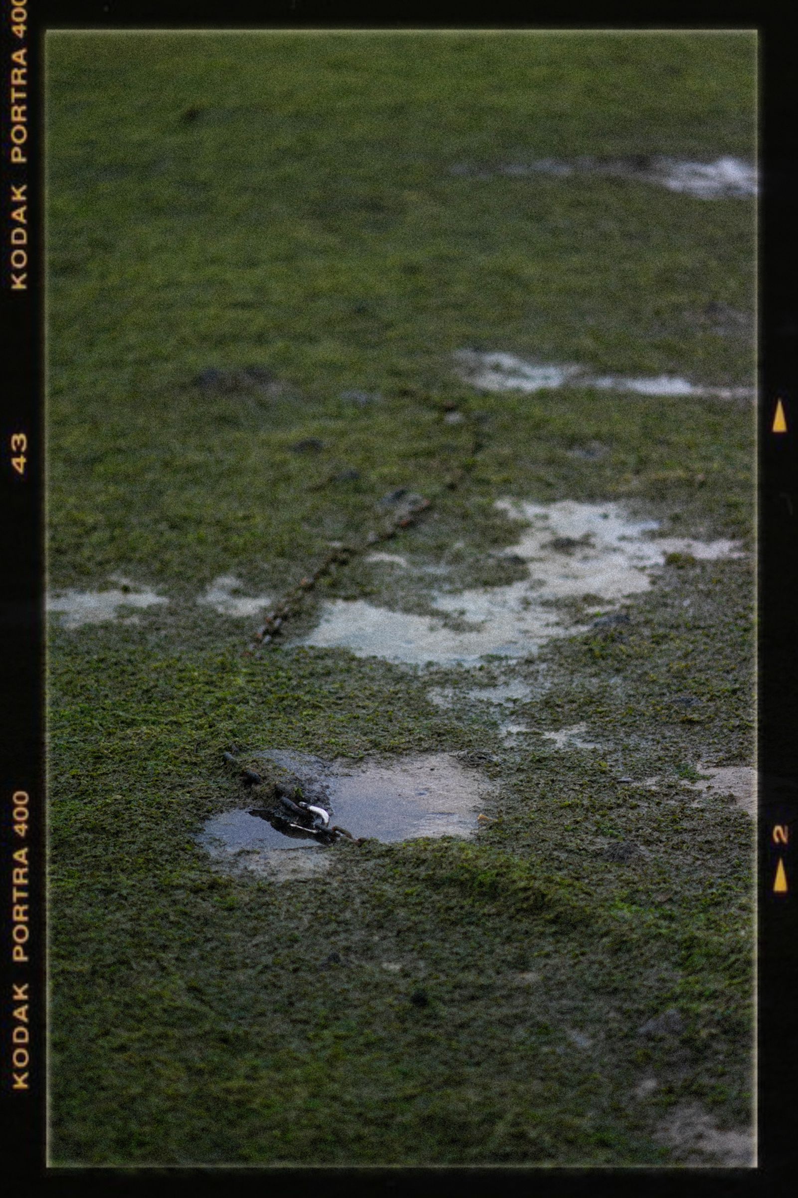 Fotografía personal de Alan Combellack