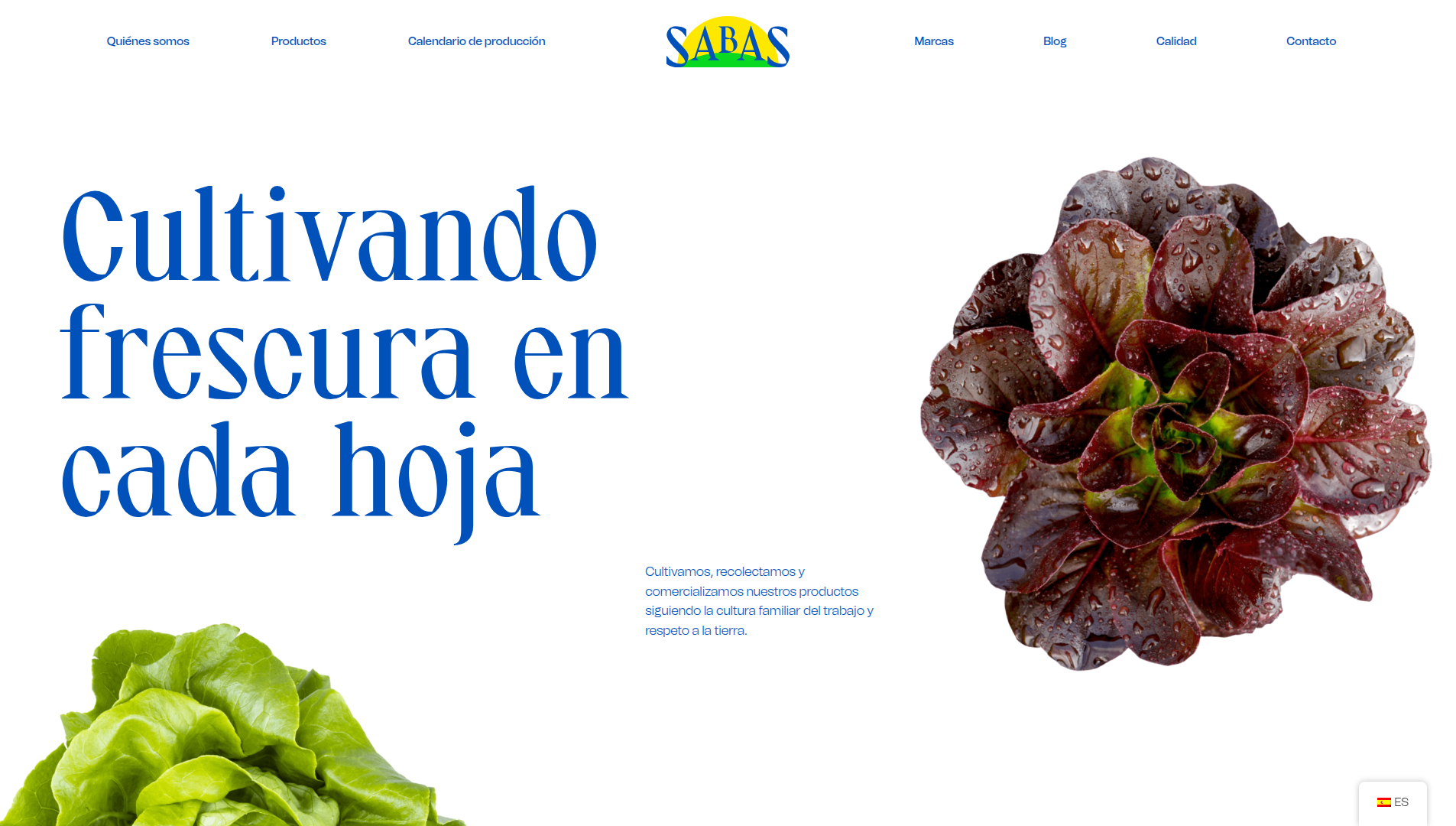 Página web de Agrosabas diseñada por Chillypills