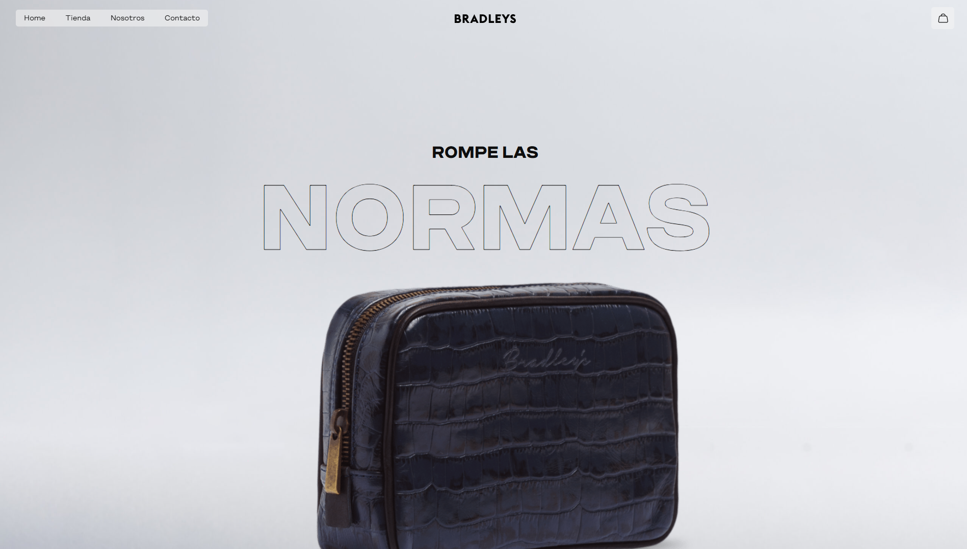 Página web de Bradleys diseñada por Chillypills