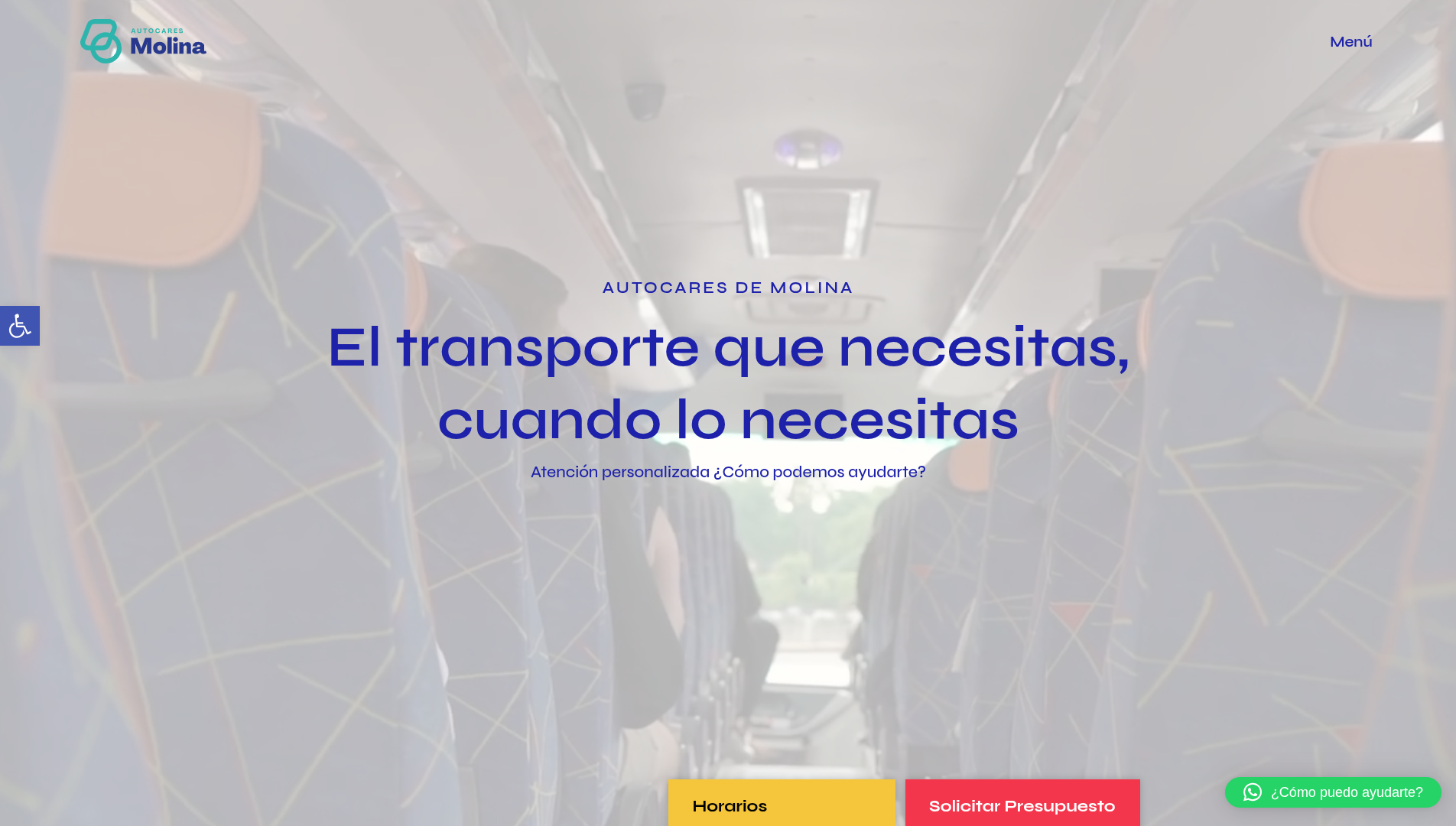 Página web de Autocares Molina diseñada por Chillypills